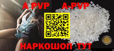 прущие грибы Гусиноозёрск
