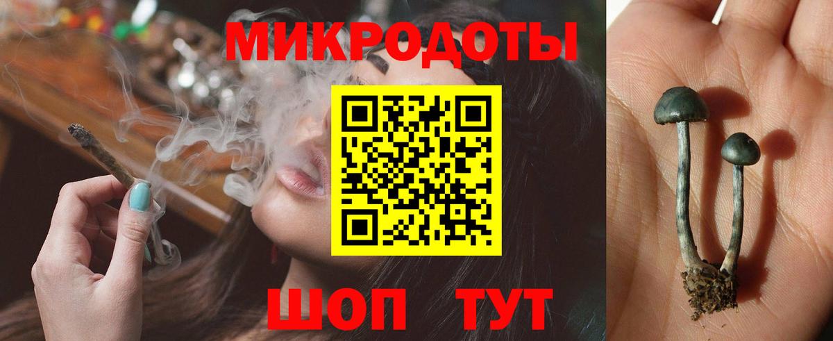 Галлюциногенные грибы мухоморы Ноябрьск