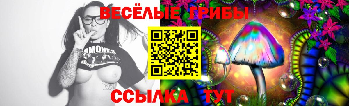 Ноябрьск  Галлюциногенные грибы MAGIC MUSHROOMS  Вход с VPN 